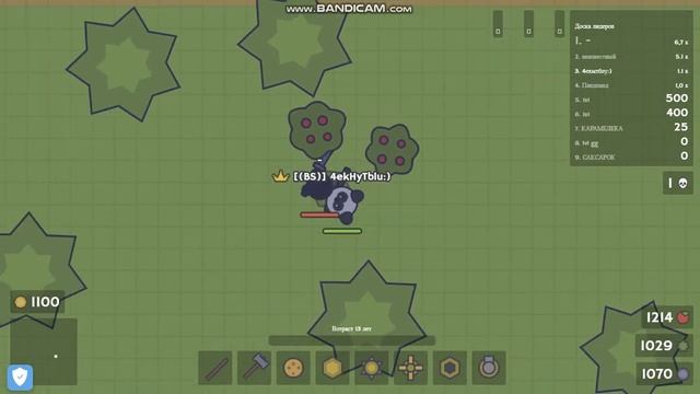 momo.io