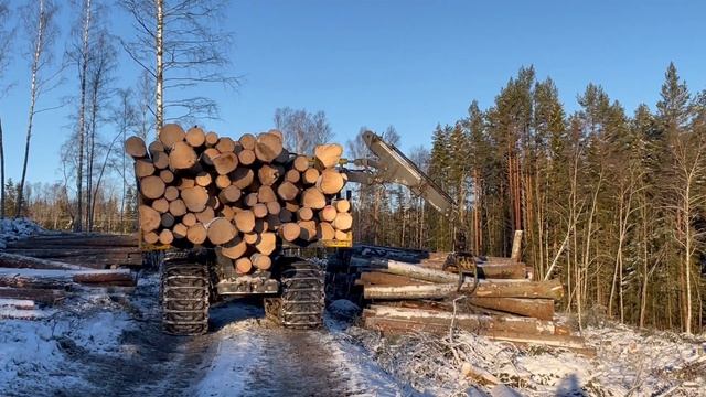 ECO LOG 594E - 19 928772 2/3