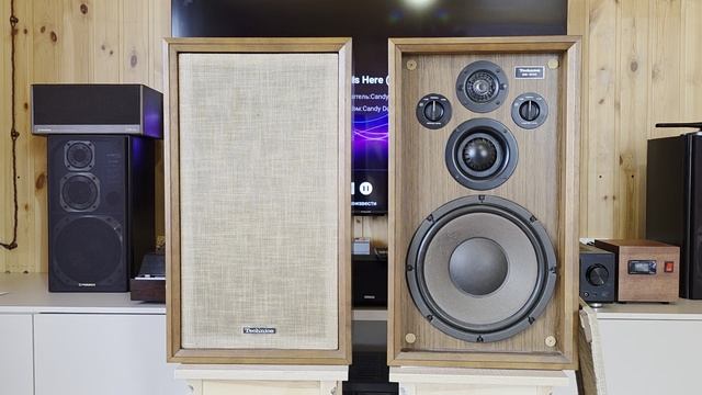 Акустическая система Technics SB-500