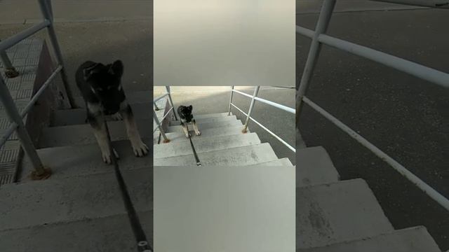 А поехали с нами в город.