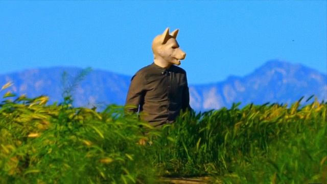 MAC DEMARCO // Chamber of Reflection (Sub. Español)