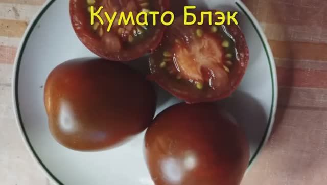 ТОМАТЫ.  КАТАЛОГ ТОМАТОВ 2024 г. Часть 3. Проверенные сорта. г. Киров