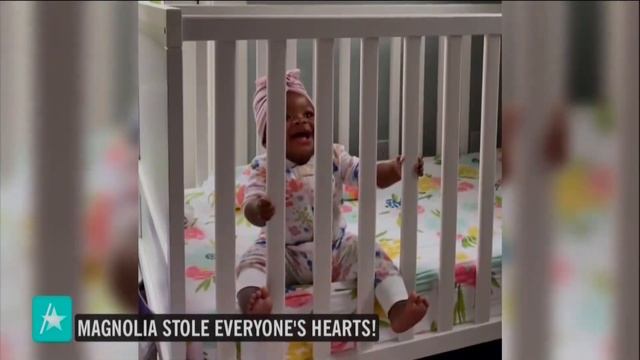 Meet The First Adopted Gerber Baby, Magnolia!