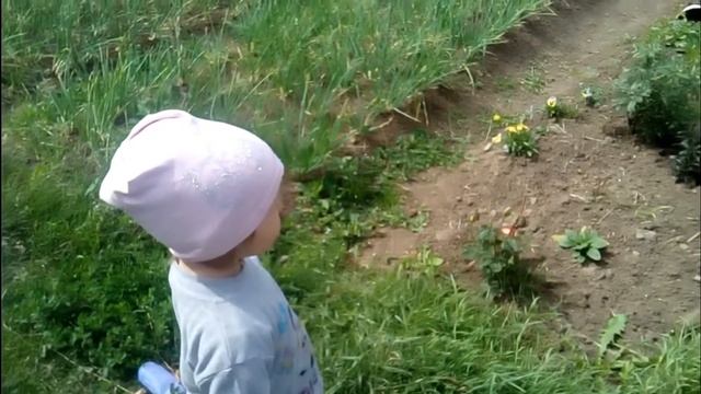 Пропала Боня?Огнище жарище//Ягоды