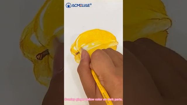 Draw a carambola with ACMELIAE