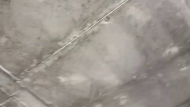 Павловния Экилган Уй Сотилади Тошкент Вилоятида тел +99890-810-18-70
