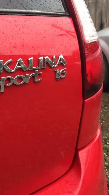 калина спорт 1