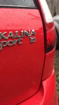 калина спорт 1