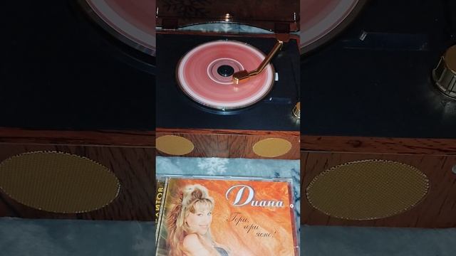 ДИАНА - Гири, гори ясно
#shorts #диана #diana #cd #ирина #нельсон #ирина_нельсон #тюрин #тюрина