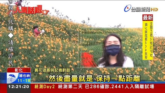 花壇虎山巖金針花盛開  直擊民眾脫罩拍照