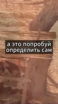 ОМАР ХАЙЯМ - О ДУШЕ и РАЗУМЕ (360p).mp4