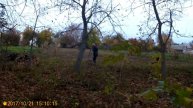 ЗОЛОТАЯ ОСЕНЬ В МОЕМ ЛЕСУ....2017