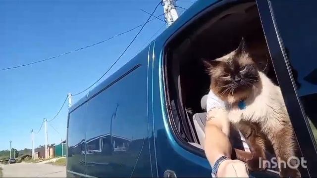Максим и Сема