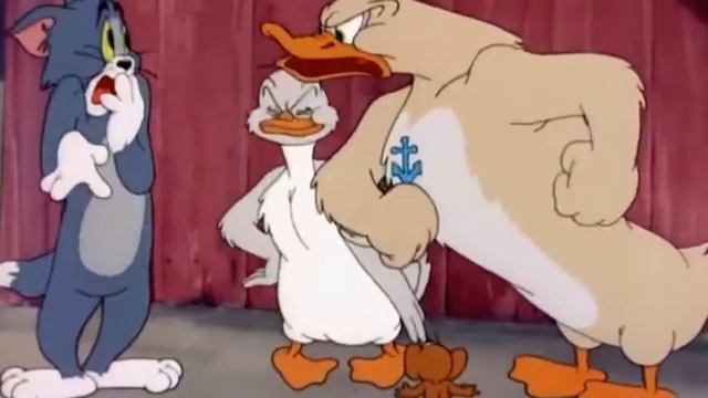 Tom and jerry & papay "2"