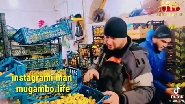 Мумгабо Клип Гариби Очачон 2000000000
