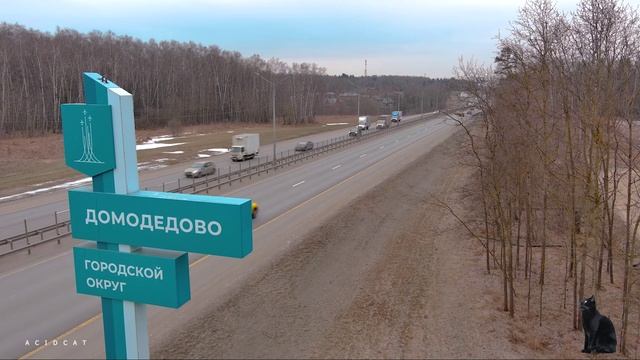 ДМД СТЕЛА 13.02.25