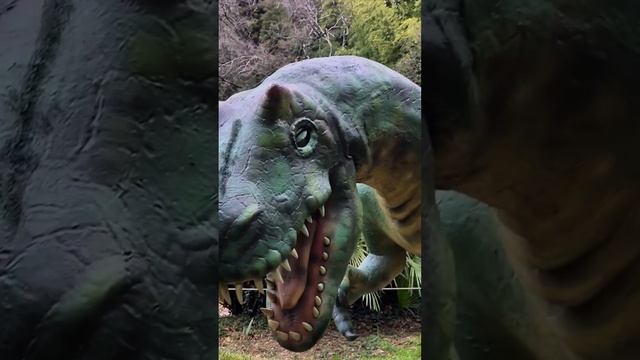 первые уроки естествознания