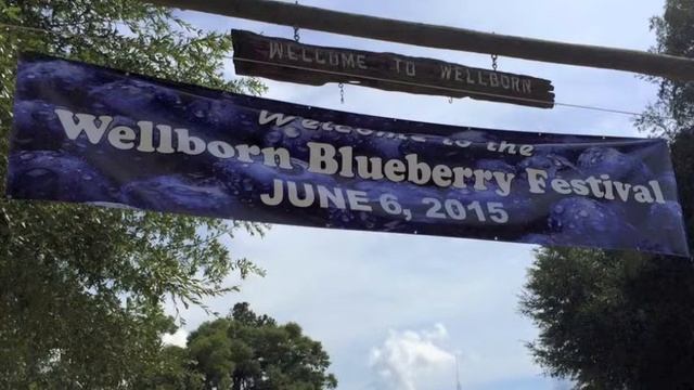 Wellborn Blueberry Festival