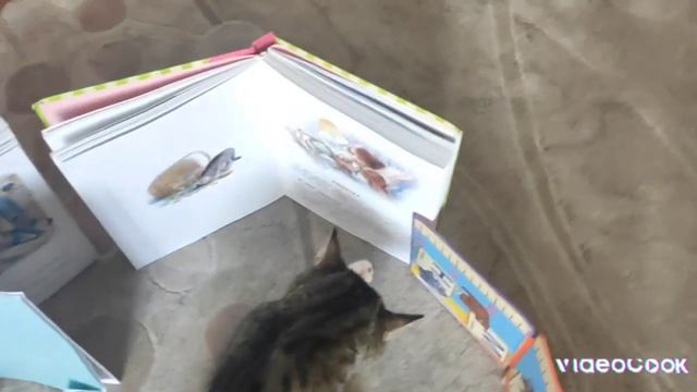 Феня и Ника в тюрьме! Ч.2 | Они на свободе!! Уволили охранника!|@pets-xn6qc