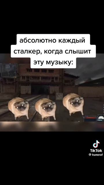 Сталкер