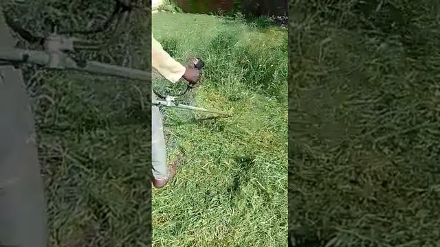 Grass Cutting - Baobab Tree Felling