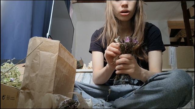 Собираю букет из сухоцветов вереска, чабреца и бессмертника лилового🌸