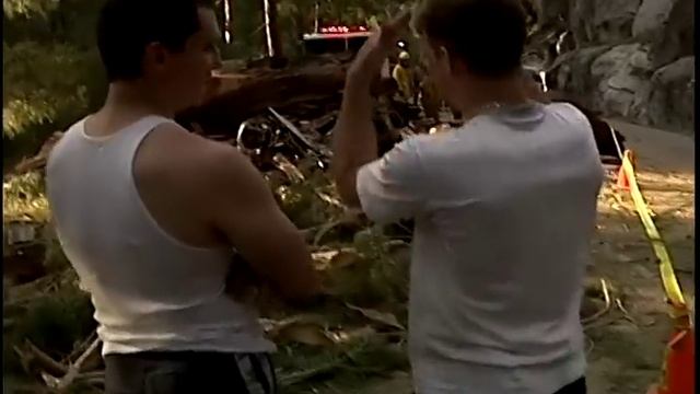 Sequoia Smashes SUV Car - Sequoia National Park DVD Tree
