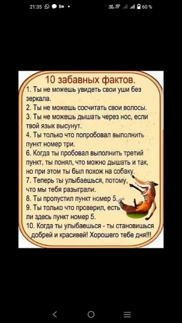 забавные факты