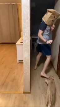 Мы в ВК https://vk.com/life_of_cats