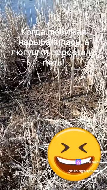 🤣