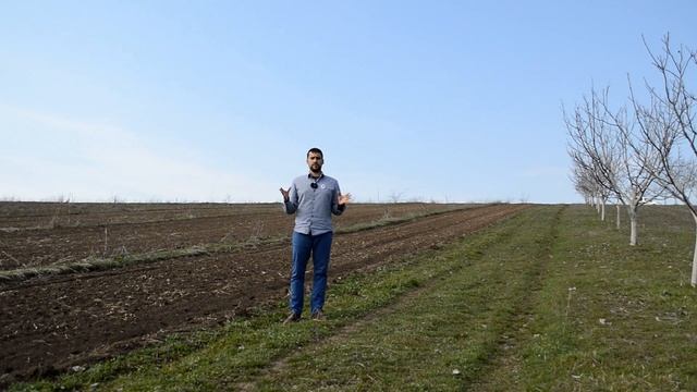 Деян Герасимов и неговата орехова градина