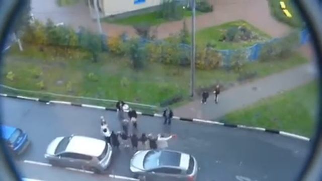 Свадьба обезьян