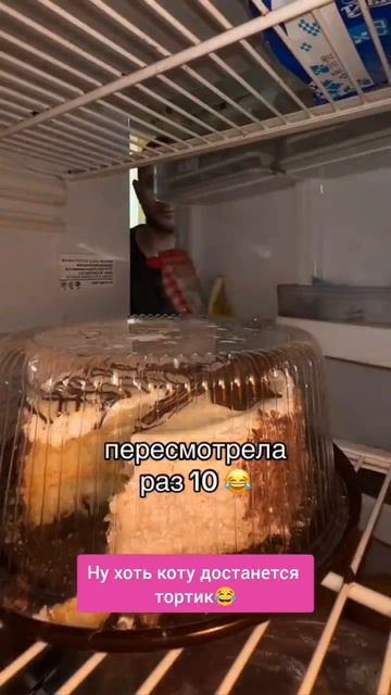 Кот сам офигел, разбудили посреди ночи и приплели к воровству🤣🤣🤣
