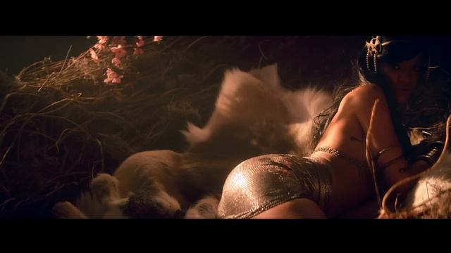 Rihanna  Where Have You Been