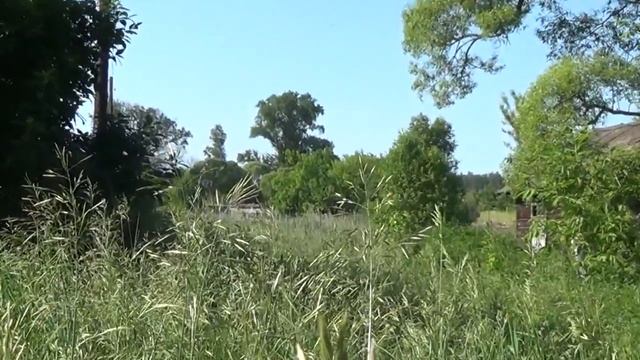 с.Бычки, Бондарский район