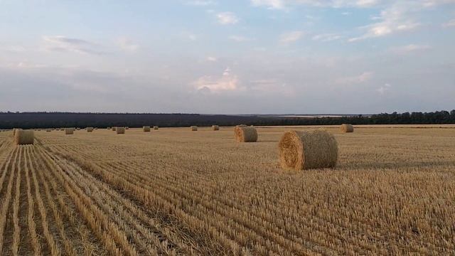 вечер, красота небес, сенокос