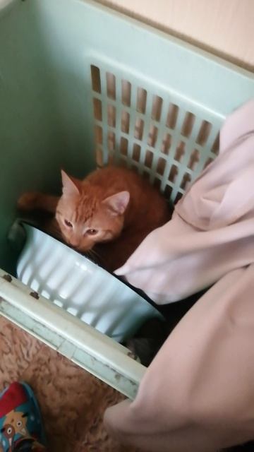 2🤣🤣🤣🤣😿😿😿😿😿🐱🐱🐱🐱🐱🐱🐱🐱🐱🐱