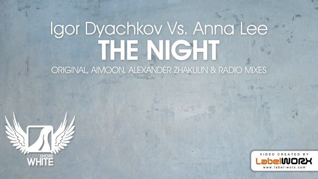 Igor Dyachkov Vs. Anna Lee - The Night (Aimoon Remix)