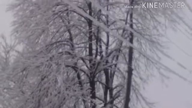 Буды зима 2018