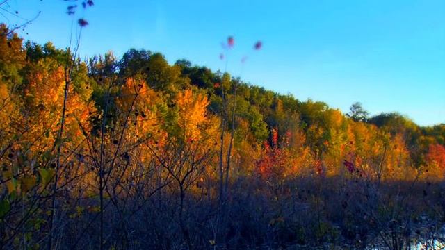 Autumn footage   Осенний футаж 86