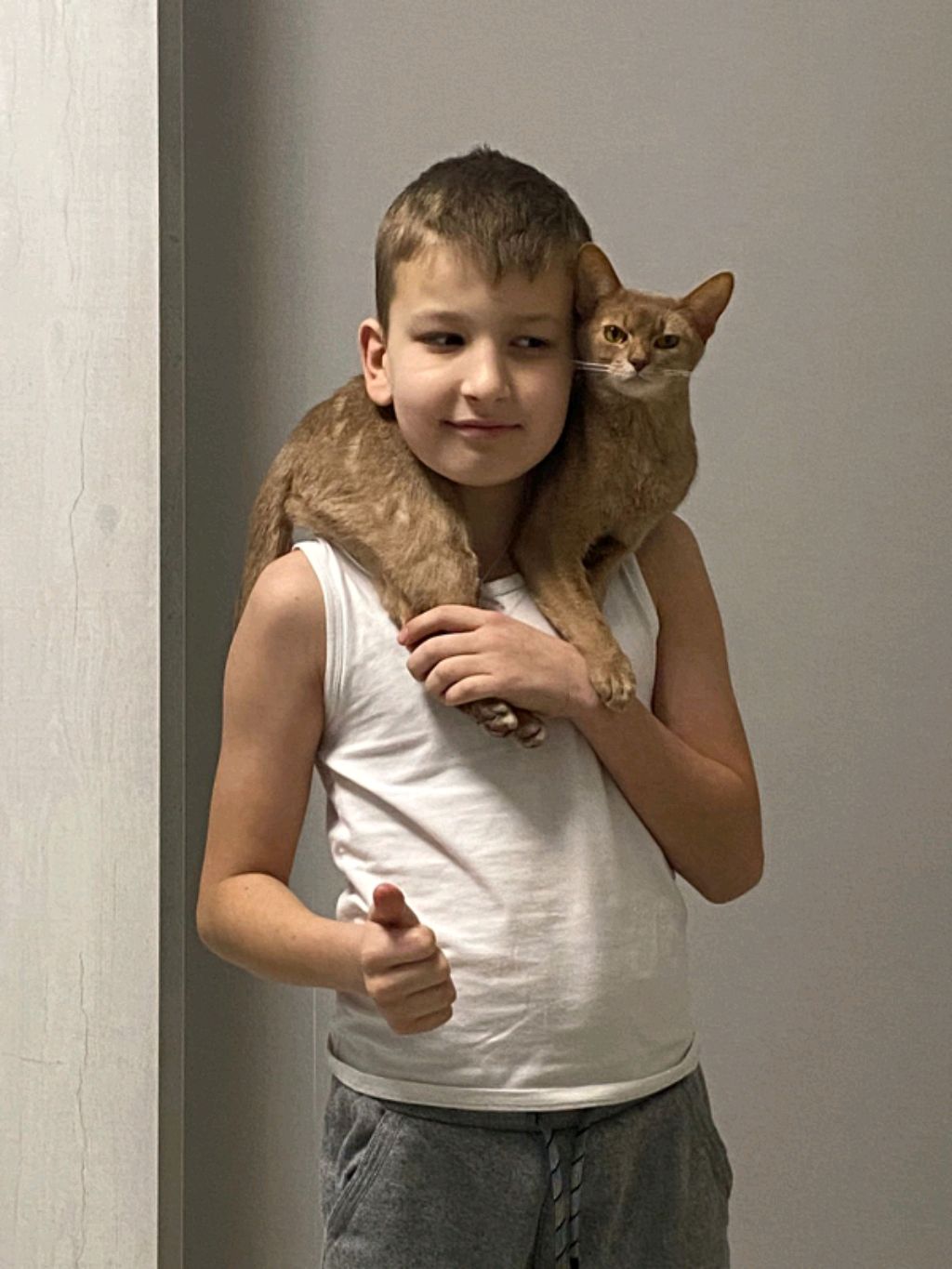 Стрим