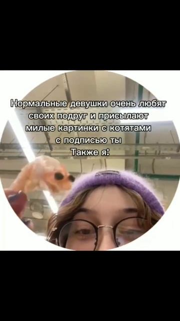 #рекомендации #shortvideo
