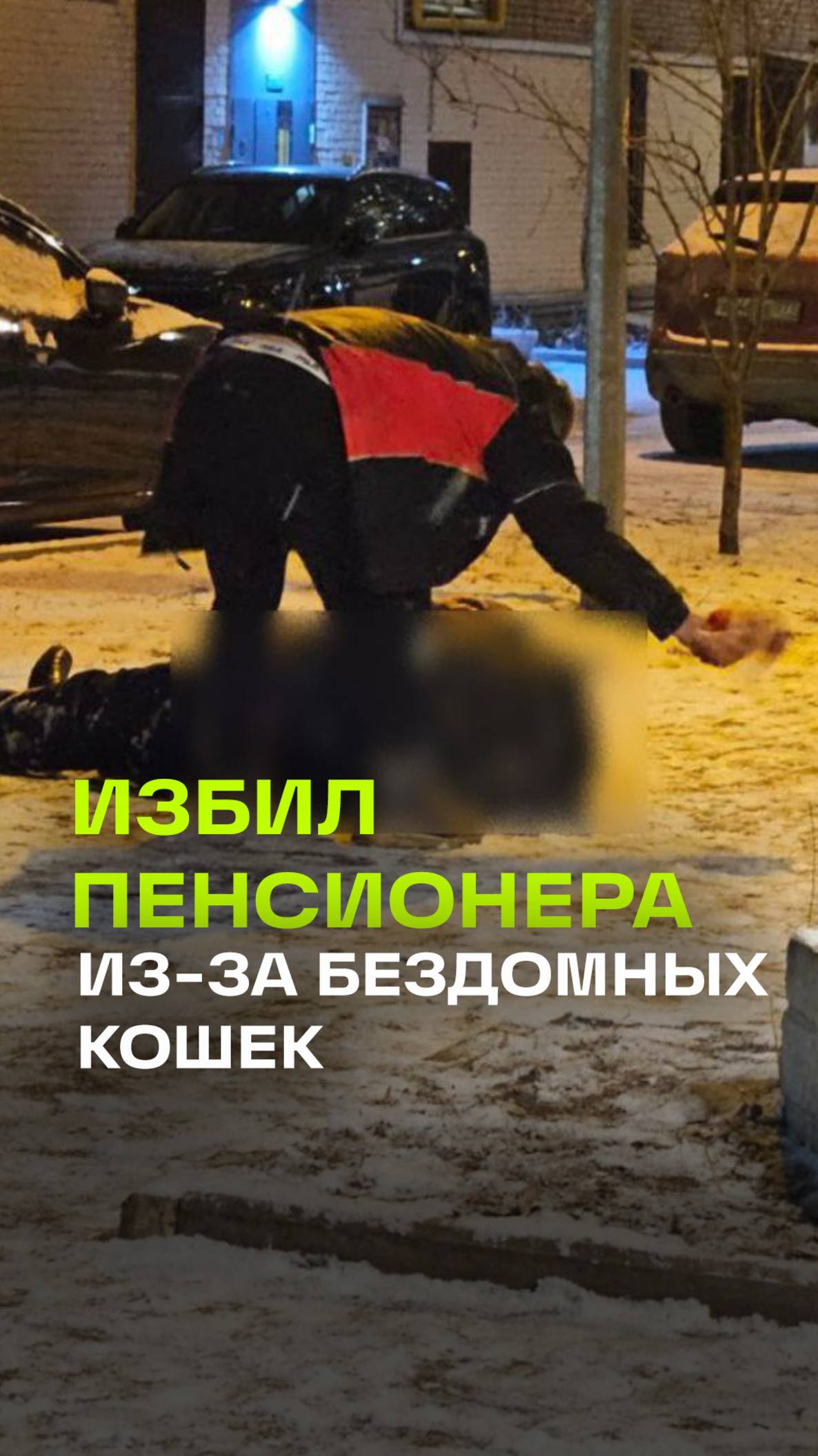 Алкаш избил одинокого пенсионера в Москве, который вышел покормить бездомных кошек