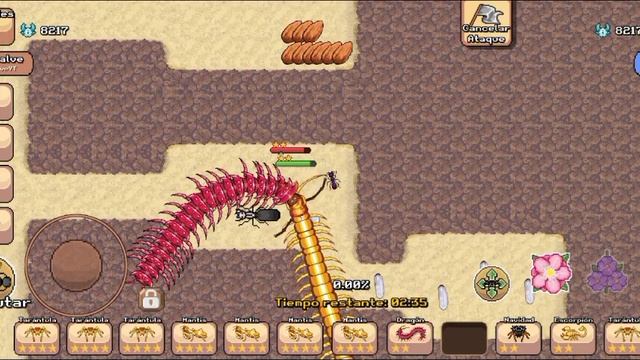 🟢 New Shocking pink dragon millipede creature 🟢 POCKET ANTS 🟢 Quick testing