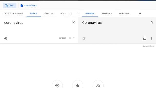 How to say coronavirus in different languages - google translate