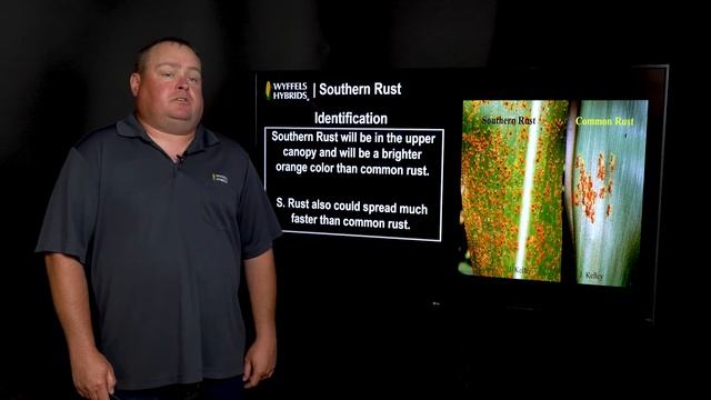 Disease 101 - Southern Rust