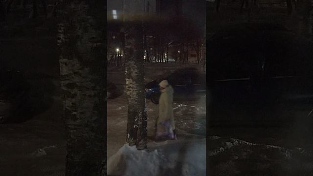 Среда вечер Коми My favorite yard