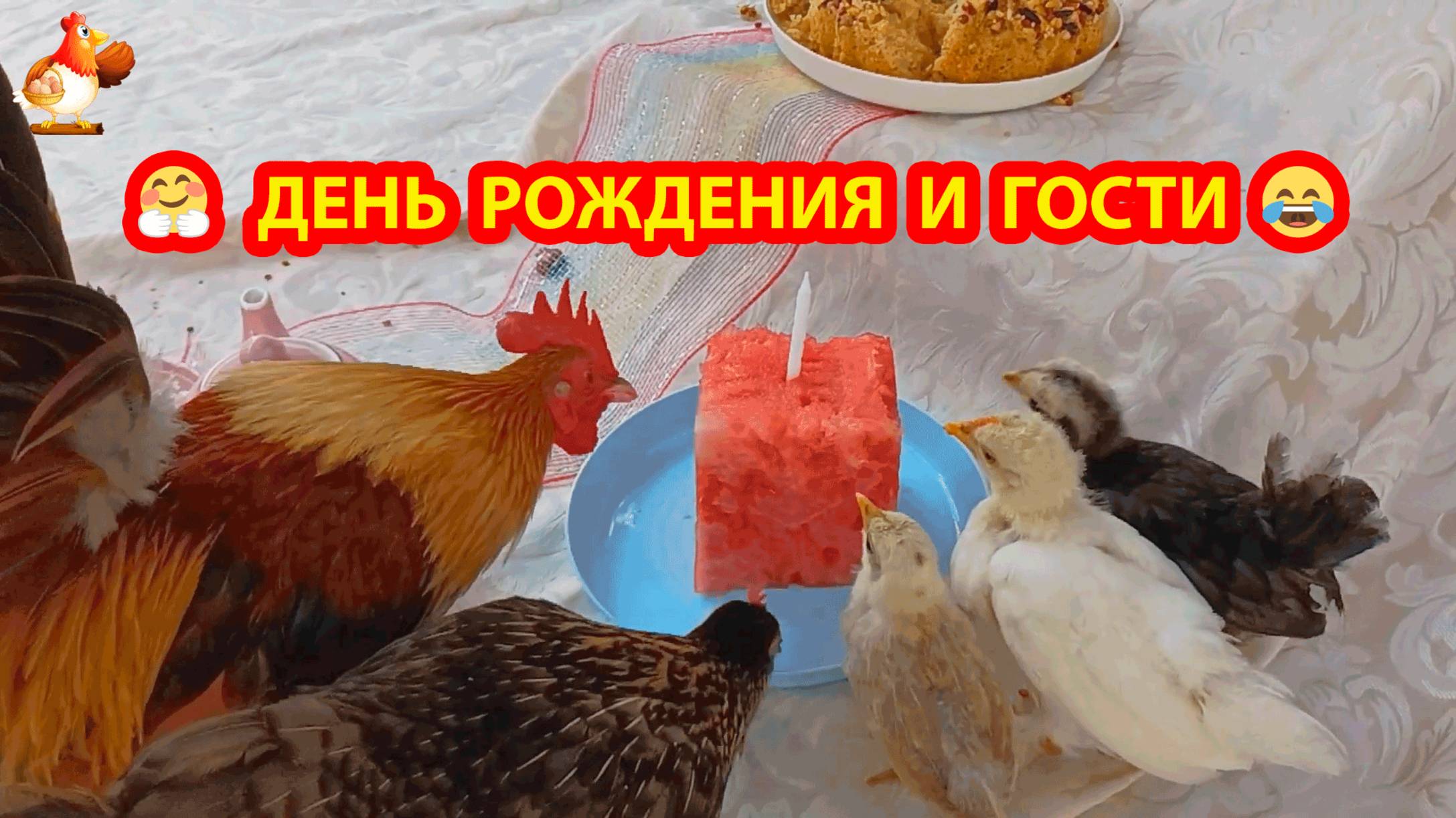 День Рождения Петуха и его суетливые гости 🎂🥳🐓