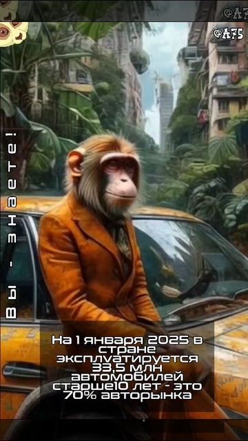 На 1 января 2025 в стране эксплуатируется 33,5 млн автомобилей старше 10 лет - это 70% #авторынок
