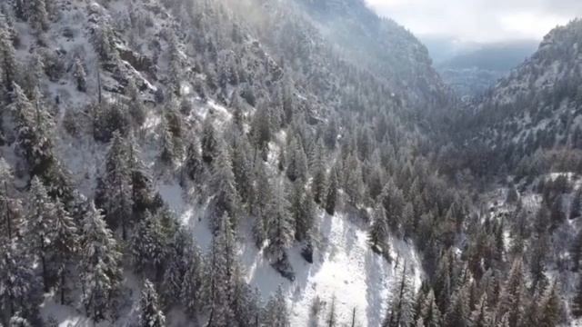 Дом восходящего солнца